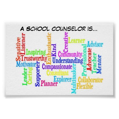 What is a School Counselor?